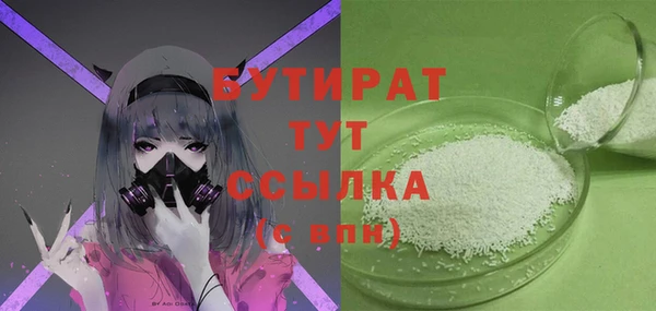 шишки Магас