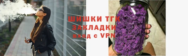 шишки Магас