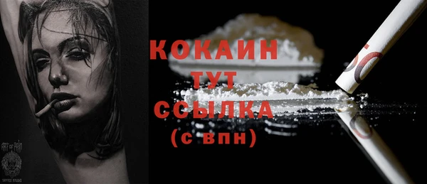 шишки Магас