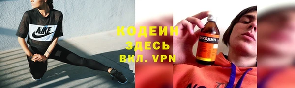 шишки Магас