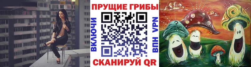 Псилоцибиновые грибы Cubensis Старый Крым